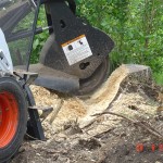 Celmu frēzēšana 2