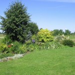 Apzaļumošana zāliens zāliena ierīkošana ainavas veidošana 4