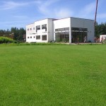 Apzaļumošana zāliens zāliena ierīkošana ainavas veidošana 6