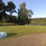 Apzaļumošana zāliens zāliena ierīkošana ainavas veidošana 7