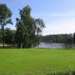 Apzaļumošana zāliens zāliena ierīkošana ainavas veidošana 8