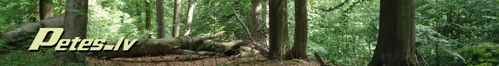 Koku zāģēšana, celmu raušana, apzaļumošana, dīķu rakšana, sniega šķūrēšana un tehnikas noma visā Latvijā